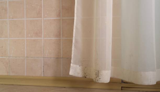 Best Indoor Air Quality Assessment  in Pleasantville, NJ