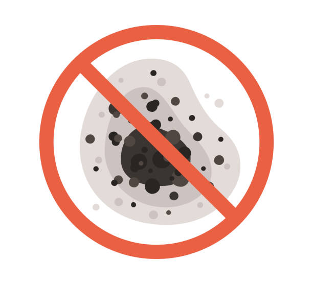 Best Mold Prevention Services  in Pleasantville, NJ