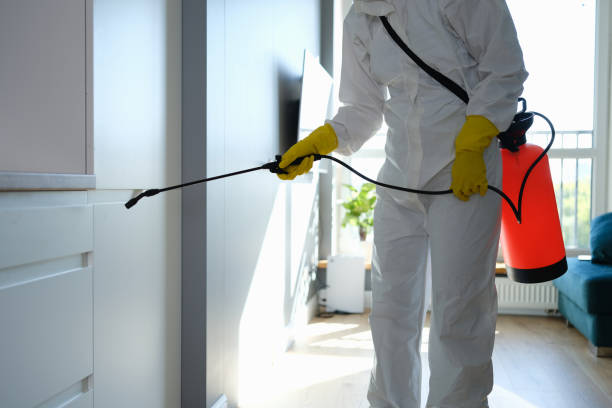 Mold Remediation for Vacation Homes in Pleasantville, NJ